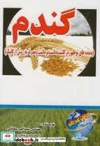 قیمت و خرید کتاب گندم پدیده های نوظهور ارگانیک | ایده بوک
