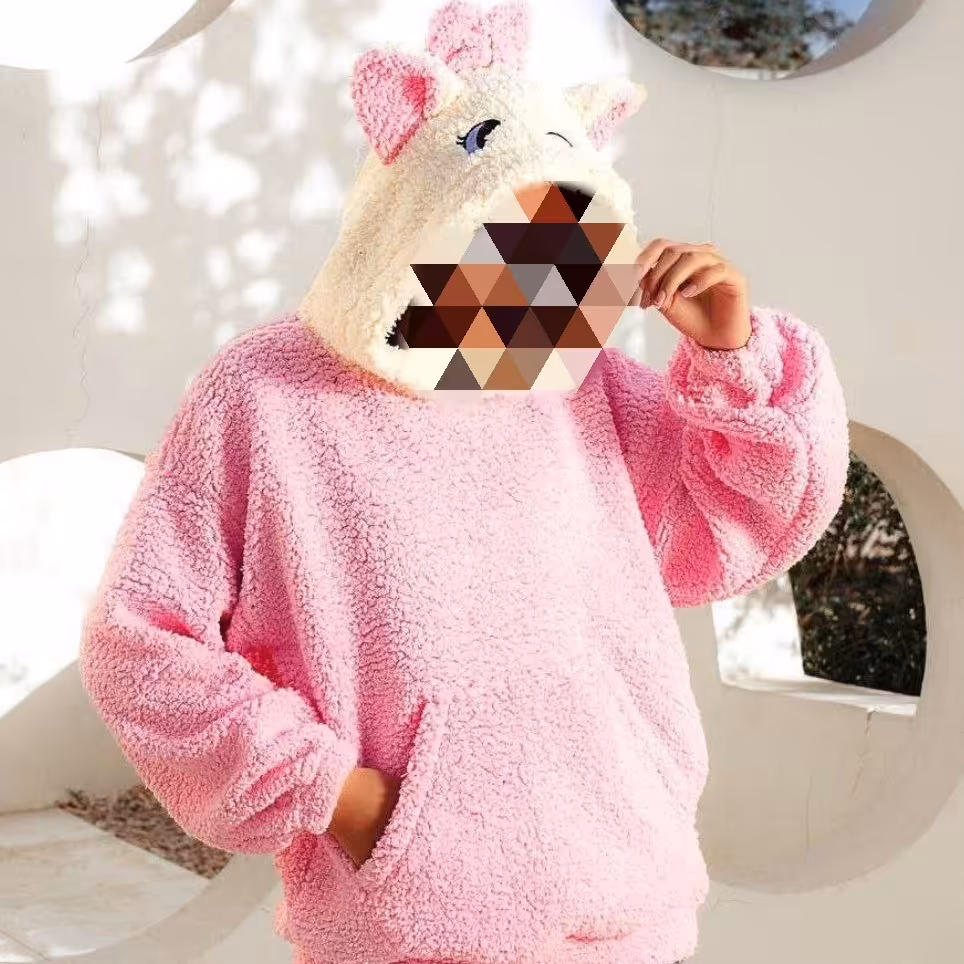 هودی زنانه مدل ناناز  جنس تدی رنگ بندی متنوع فری سایز 38تا48ریز