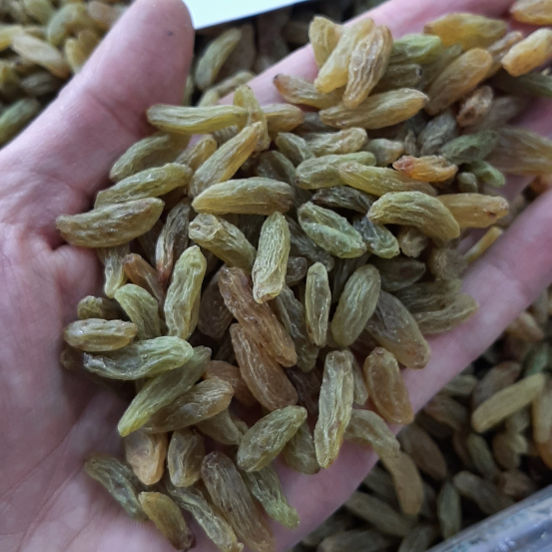 کشمش سبز  انگور عسکری بی هسته اعلاء محصول کاشمر درشت و یکدست با طعم شیرین و خوب وزن یک کیلو گرم 