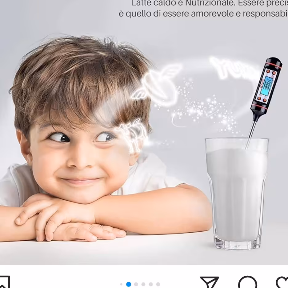 دماسنج آشپزی میله دار