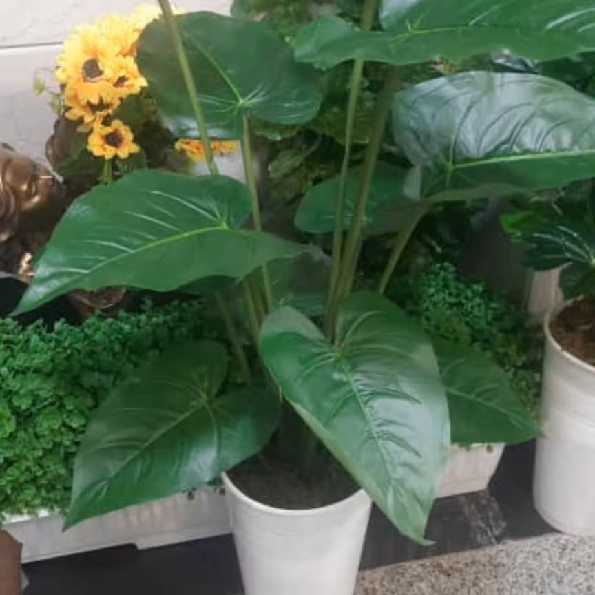 گل مصنوعی باباآدم درختچه مصنوعی قدکار 1 متر به همراه گلدان