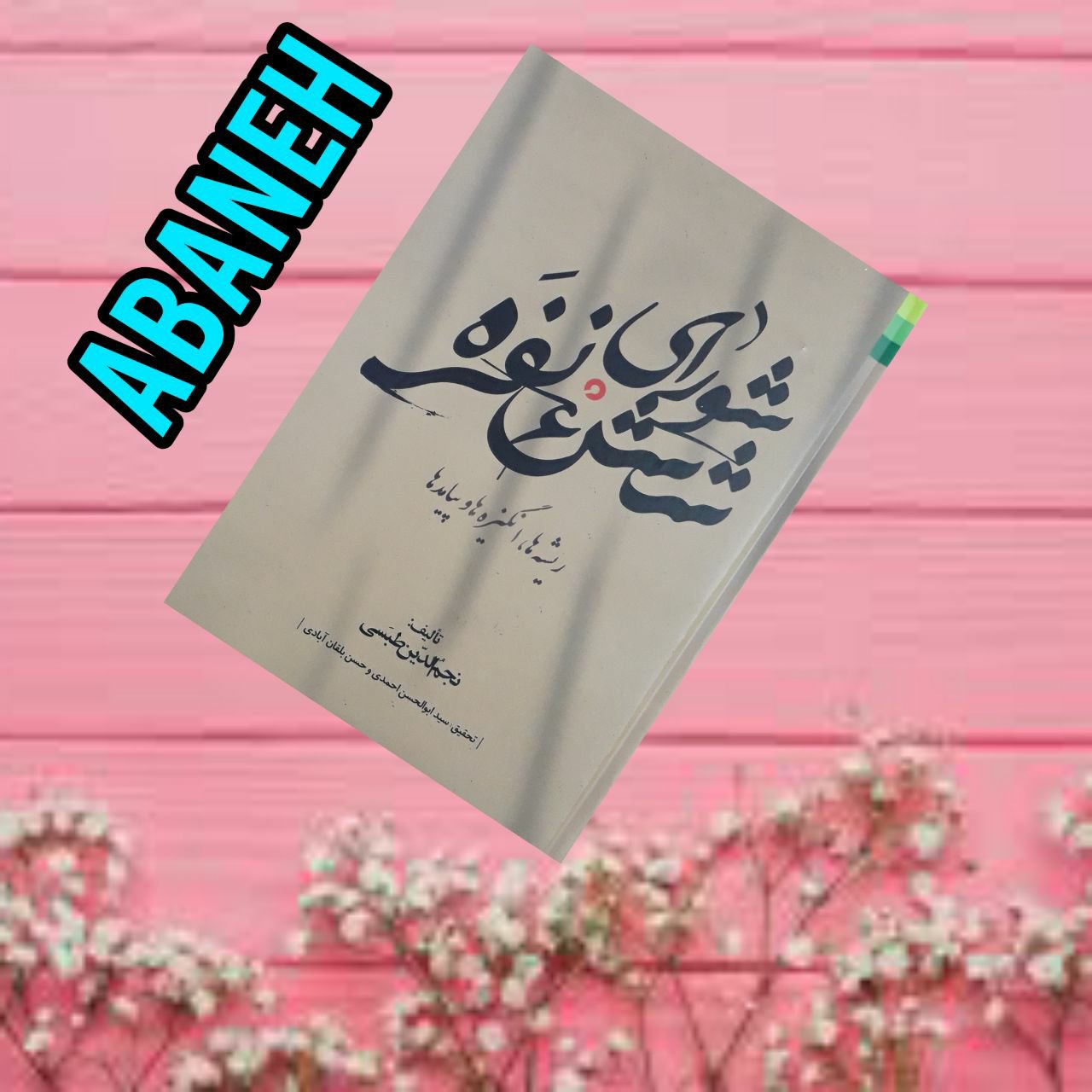 شورای شش نفره