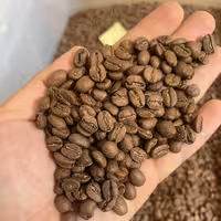 دان قهوه Colombia بسته 5کیلویی 100درصد عربیکا