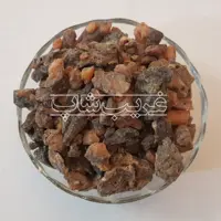 فاسوخ مغربی سیاه (فاسوخ سیاه - فاسوخ اسود) اصل 