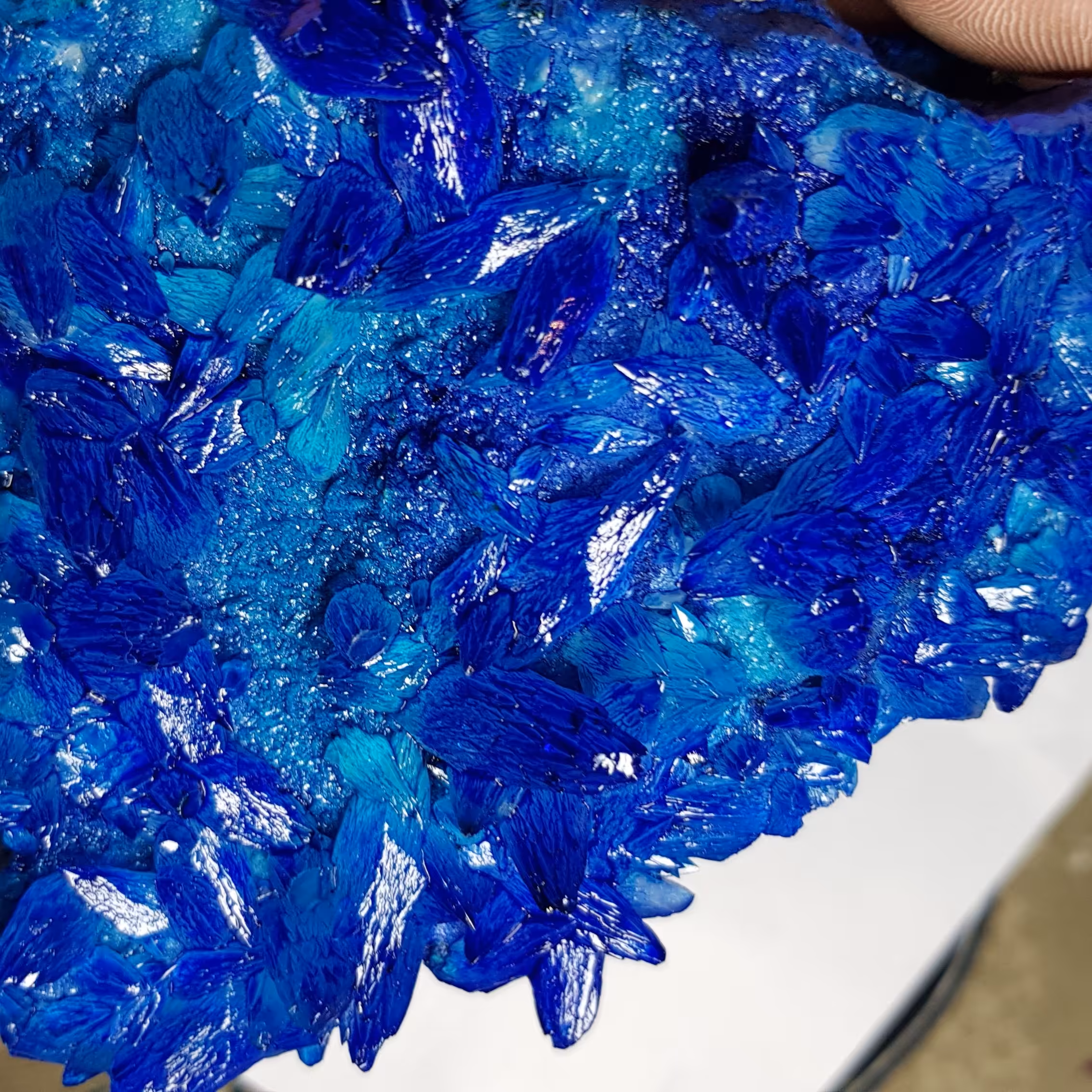 سنگ کالکانتیت