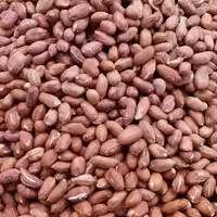 بادام زمینی خام خارجی(500گرمی)