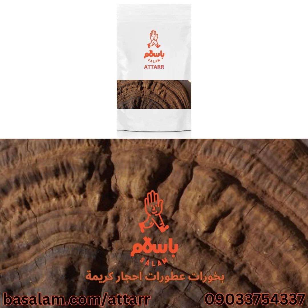 قارچ گانودرما قهوه ای Ganoderma brown mushroom (250گرم)