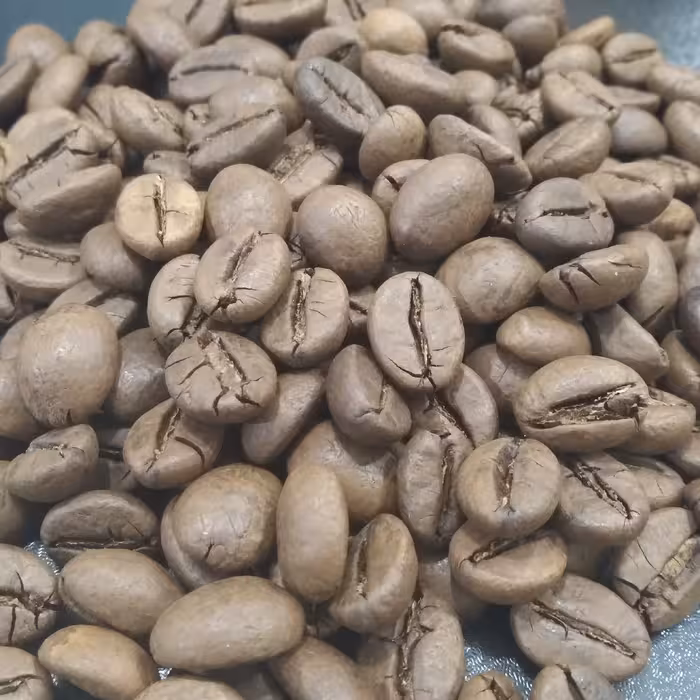 قهوه اندونزی روبوستا  (ارسال رایگان)