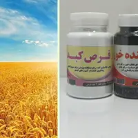 کبد چرب گیاهی 