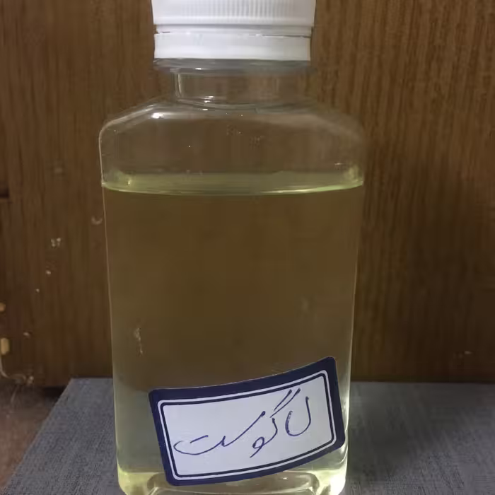 عطر لاگوست ماندگاری بالا