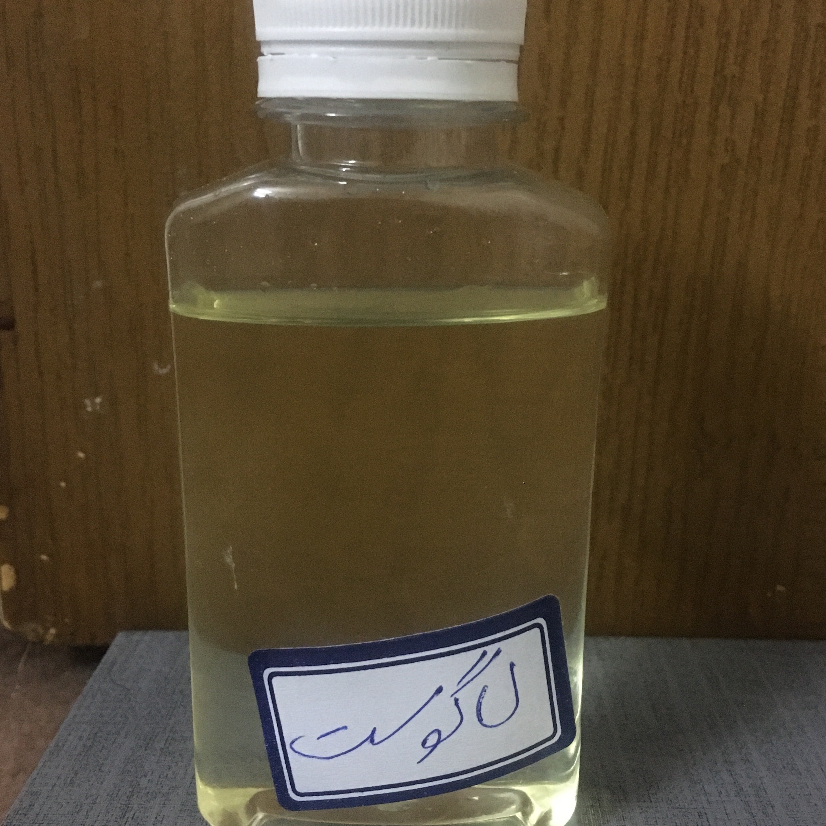 عطر لاگوست ماندگاری بالا