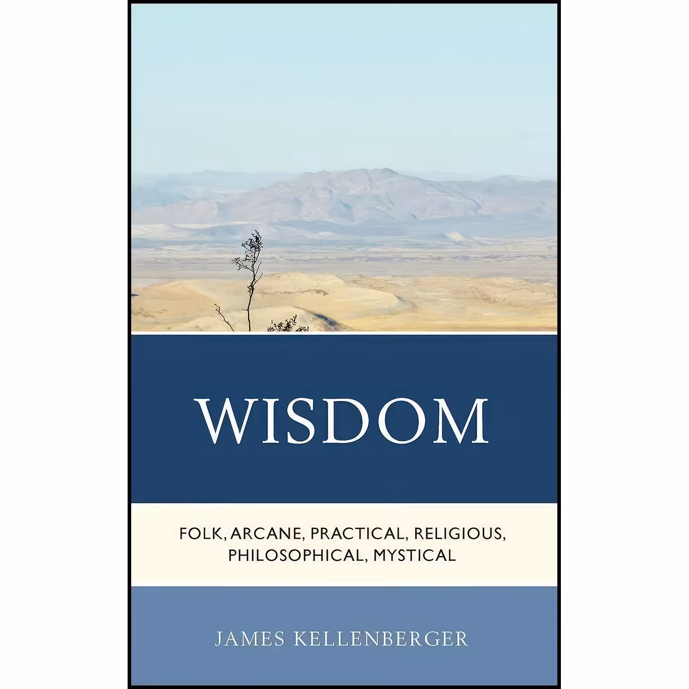 کتاب زبان اصلی Wisdom اثر James Kellenberger انتشارات Lexington Books