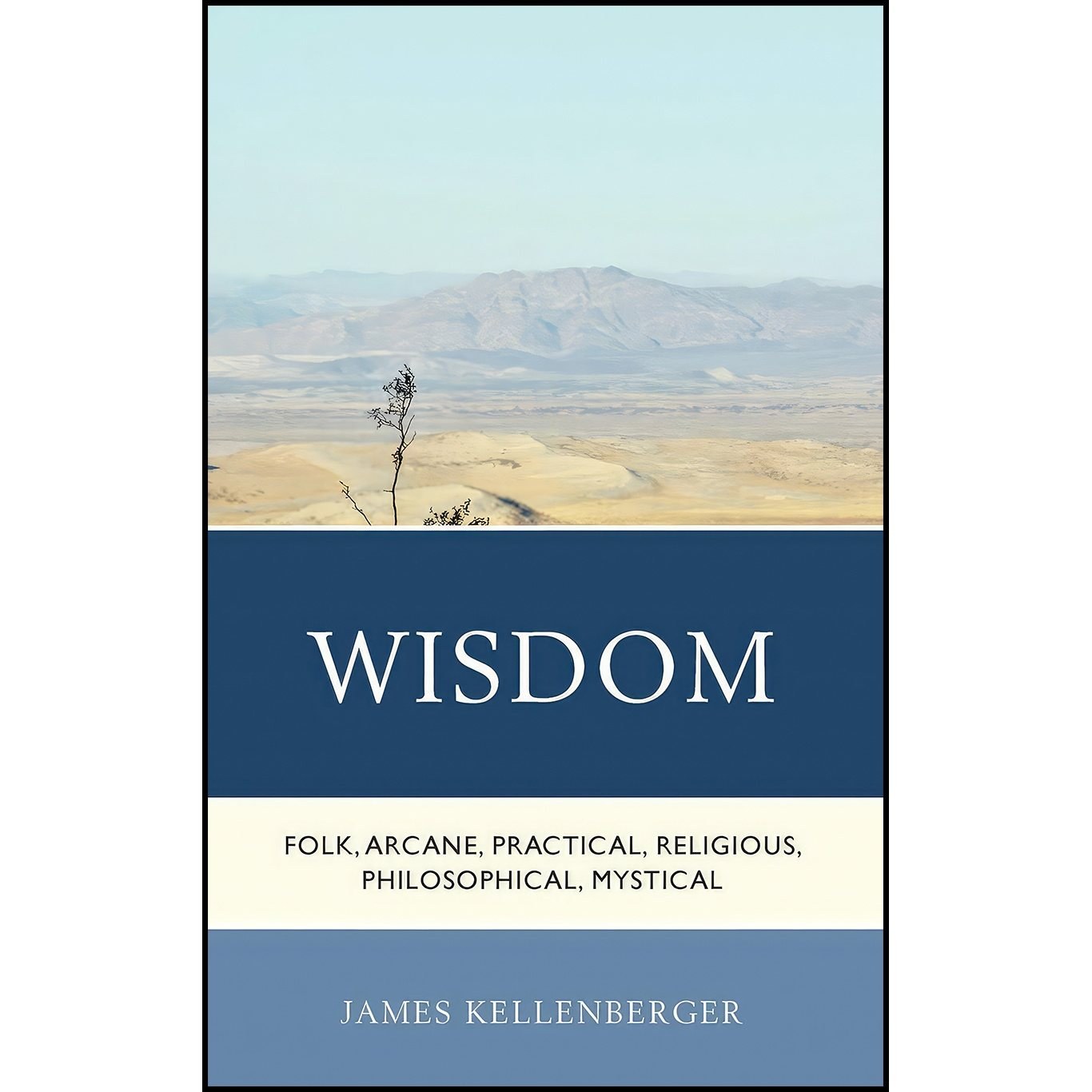 کتاب زبان اصلی Wisdom اثر James Kellenberger انتشارات Lexington Books