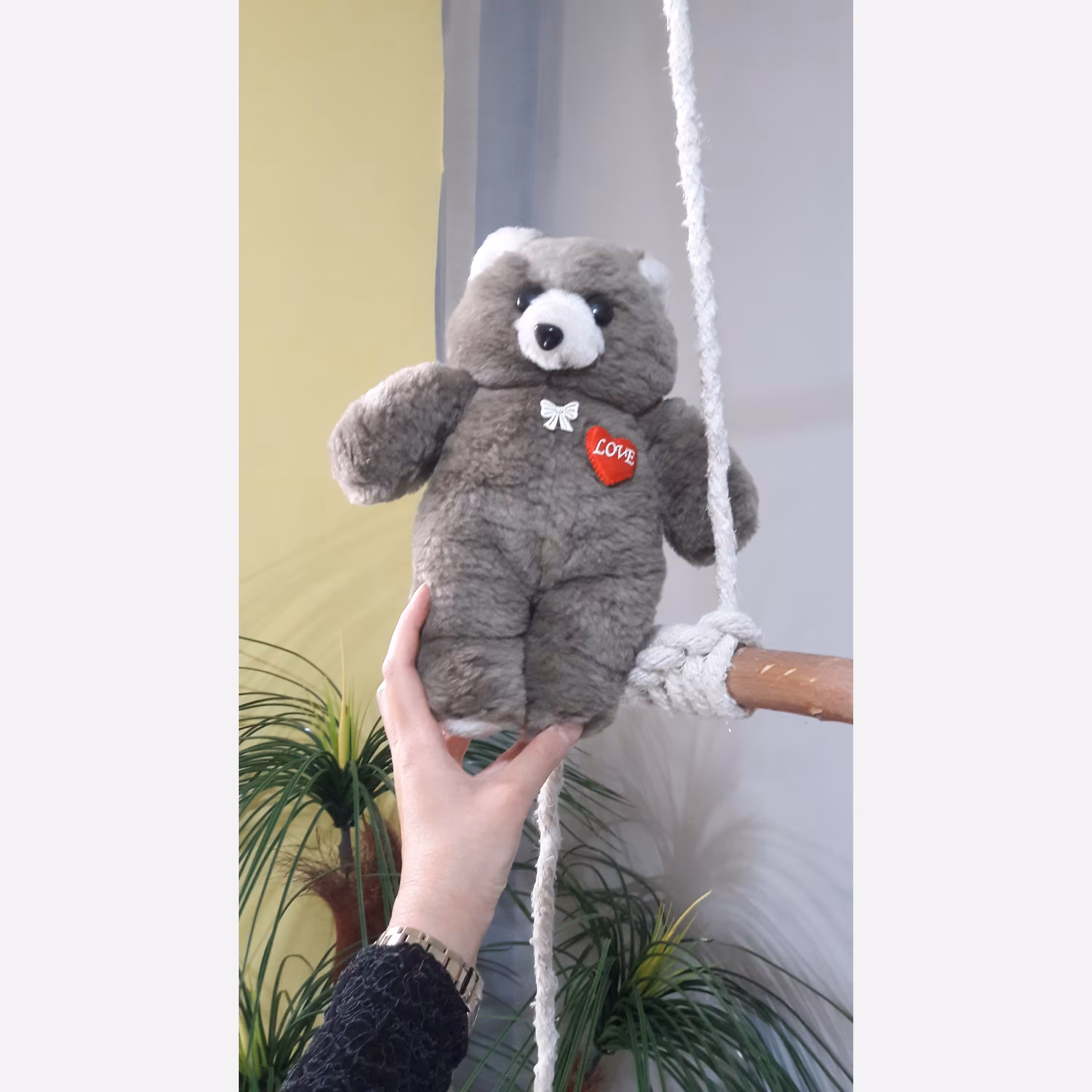 خرس پولیشی کوچک قهوه ای 