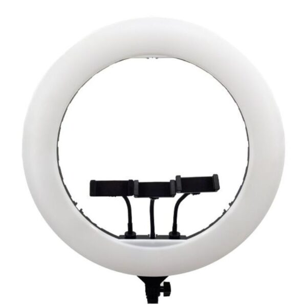 رینگ لایت عکاسی ZEUS YQ-520A Ringlight