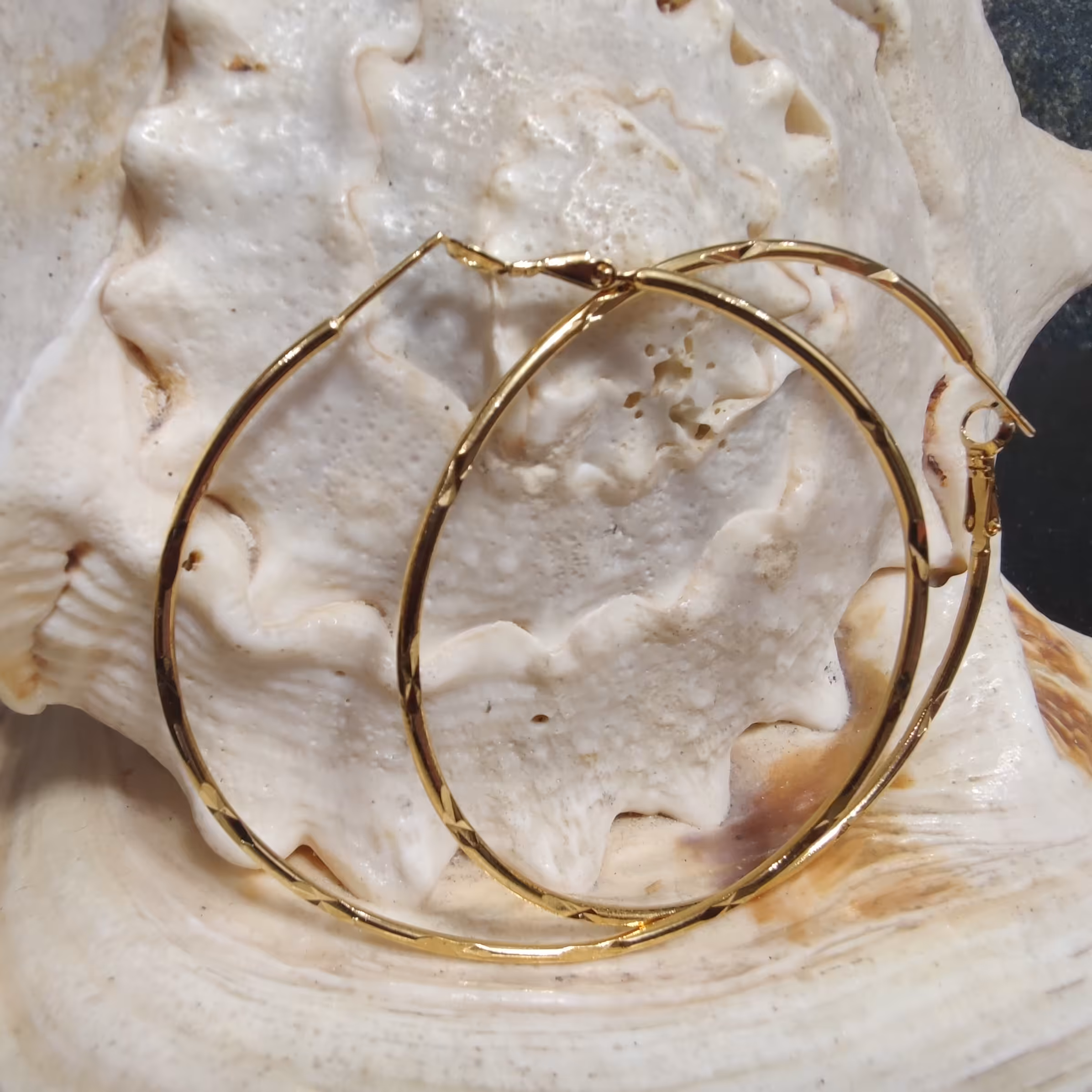 گوشواره حلقه ای رنگ ثابت تراش خورده قیمت 89000 تومان