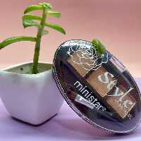 سایه ابرو مینی استار کد 03