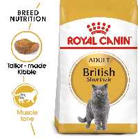 غذای خشک گربه بریتیش ادالت رویال کنین 4 کیلویی Royal canin