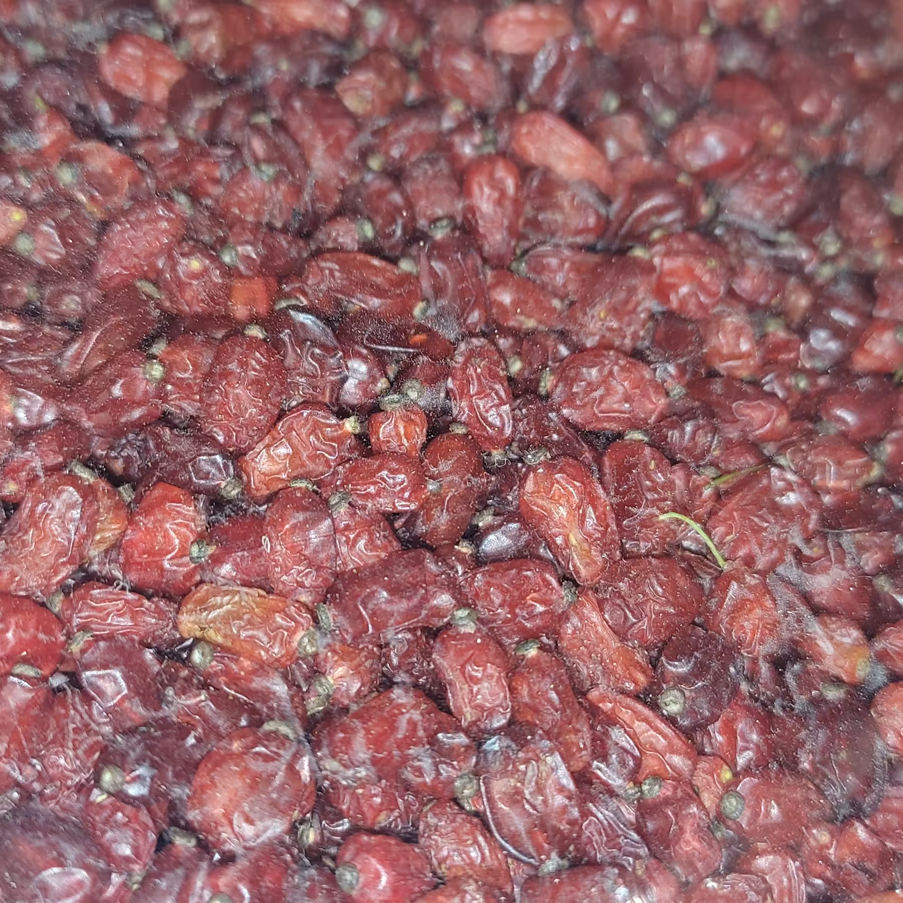 زرشک تازه خراسان  درشت و خوشمزه درجه یک