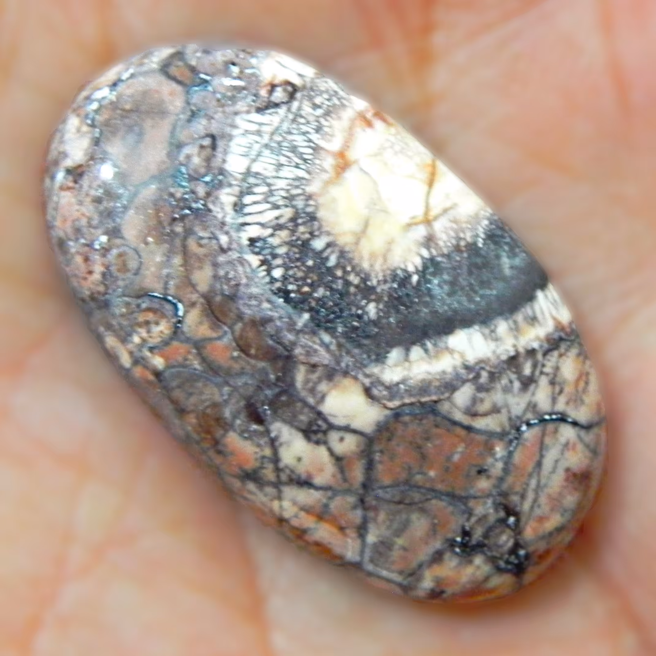 نگین وارداتی جاسپر چشم پرنده(سان فلاور) اصل معدنی مناسب آویز و گردنبند3