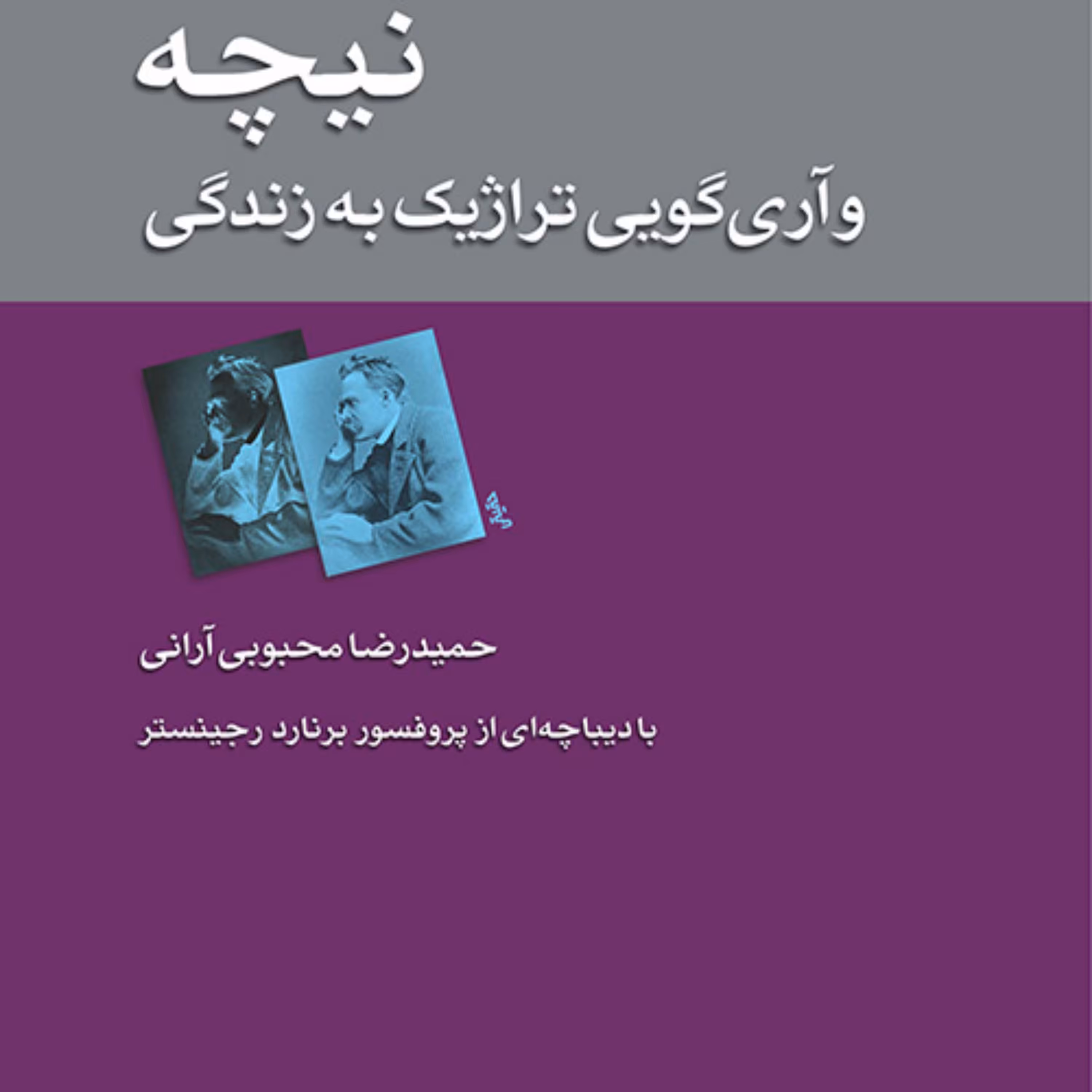 نیچه وآری گویی تراژیک به زندگی ترجمه حمید رضا محبوبی نشر مرکز