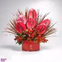 باکس فلزی افشان