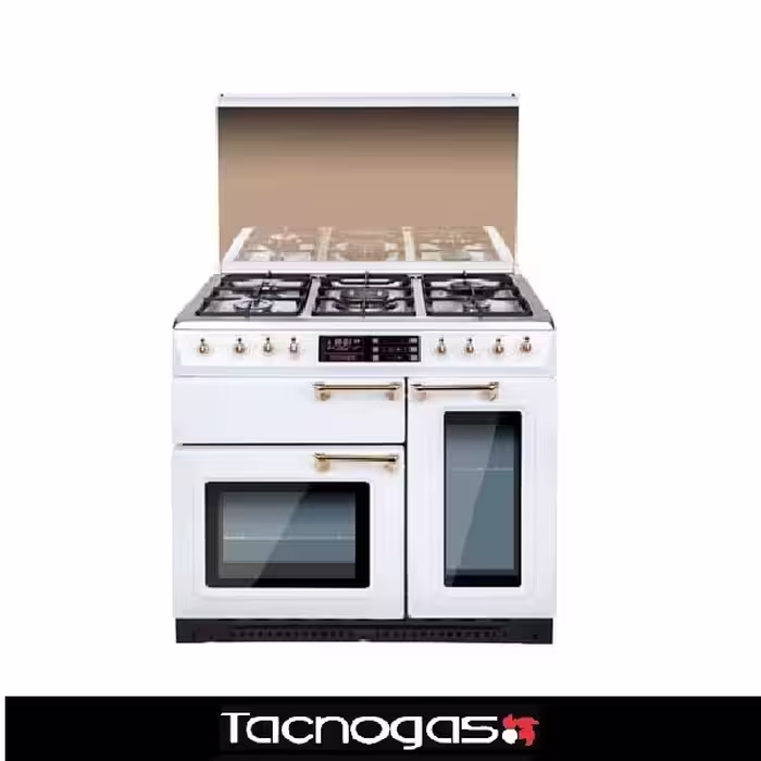 اجاق گاز تاکنوگاز مدل ROMANO 5B-WW دستگیره کروم
