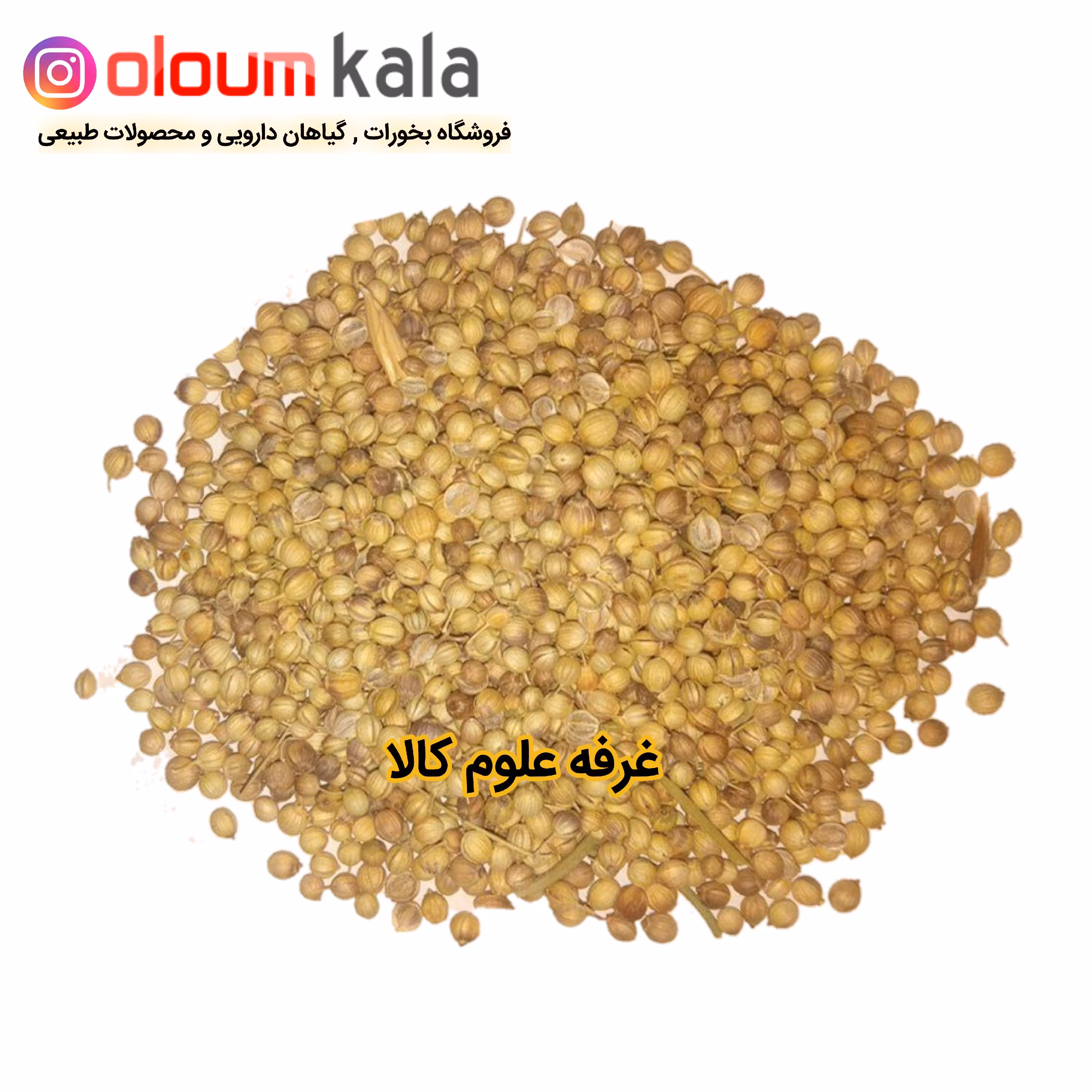 تخم گشنیز ،کزبره (100گرمی )