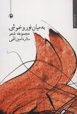 به میان نور و خموشی (مجموعه شعر)