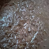 رب آلوچه محلی گیلان....بسیار تمیز وخوش طعم ،غلیظ وباصرفه پخت تازه 