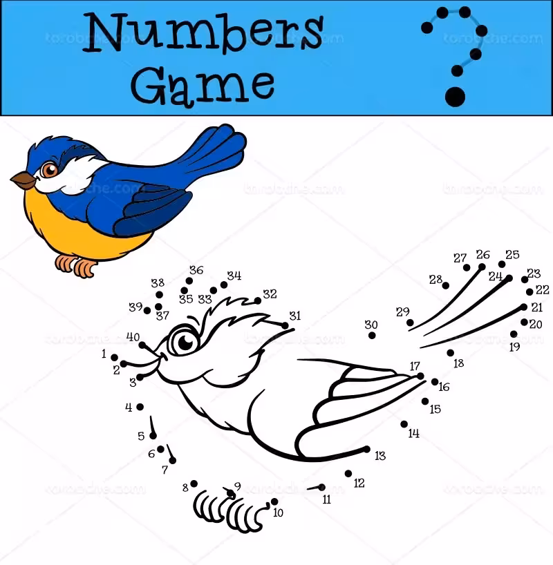 وکتور نقاشی | گرافیک با طعم تربچه