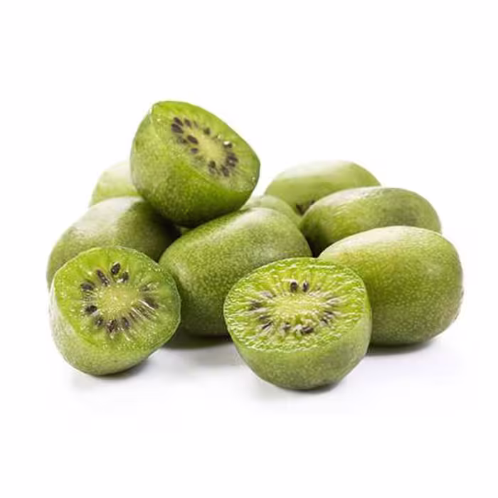 بذر کیوی هاردی 5 عددی