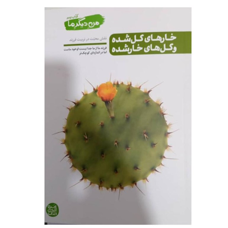 من دیگر ما،کتاب دوم،160 صفحه،رقعی شومیز،خارهای گل شده و گلهای خار شده،محسن عباسی ولدی،نشرآیین فطرت