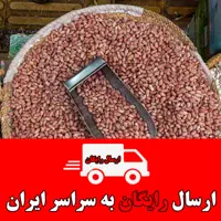 بادام زمینی تازه درجه 1  (درشت)آستانه اشرفیه