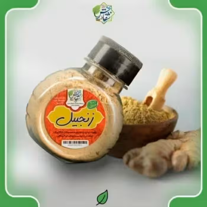 ادویه زنجبیل(80گرم)