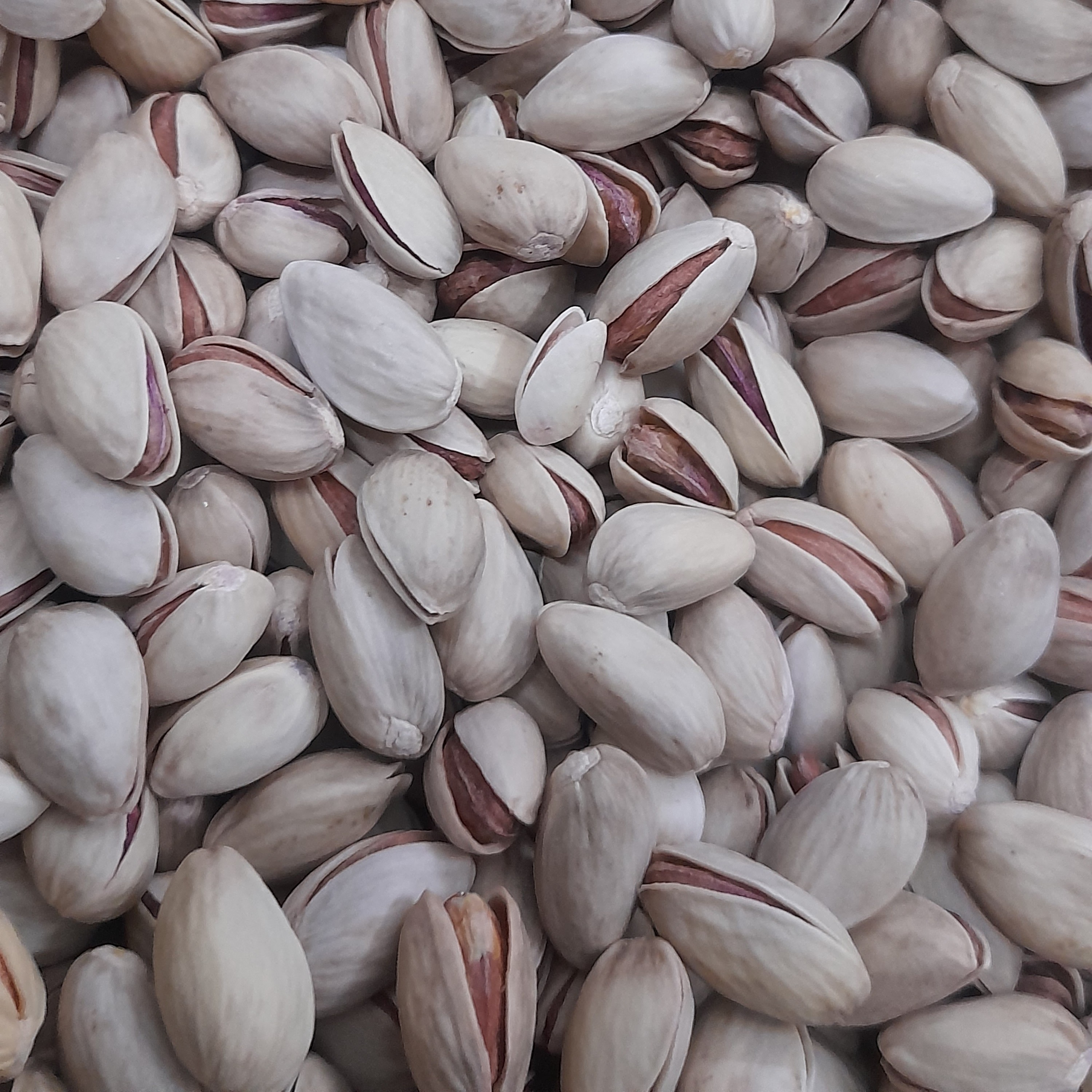 پسته احمد آقایی درجه 1، تمام خندان،تازه وخوشمزه ( 500 گرمی)