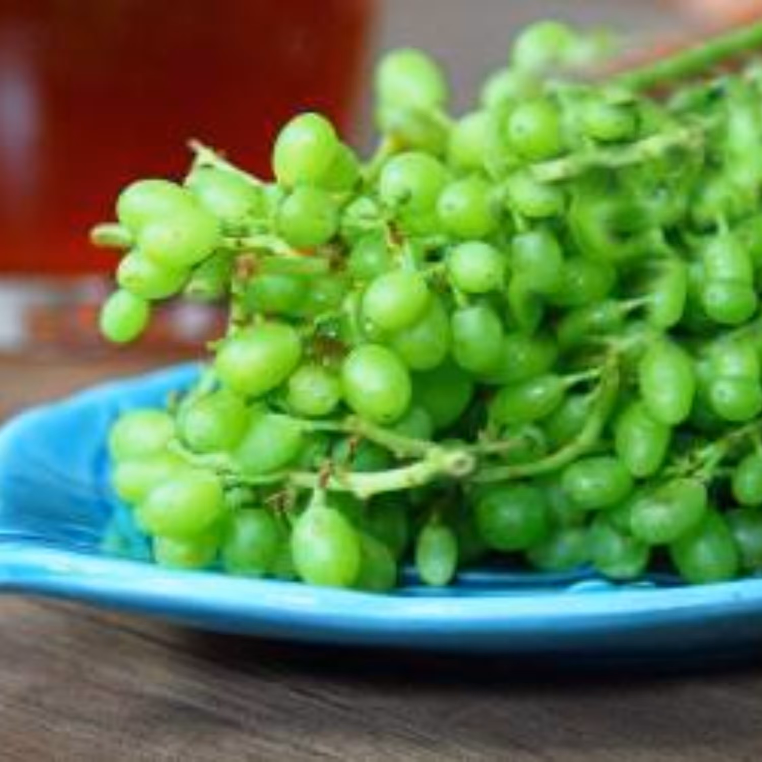 آبغوره خانگی  جوشانده شده غلیظ کاملا طبیعی با طعم بی نظیر