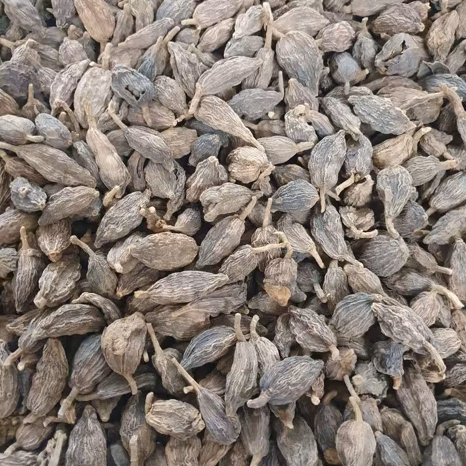 هل باد 50 گرم 