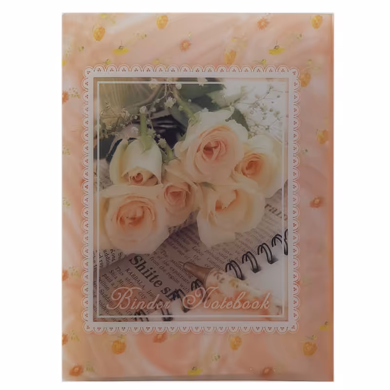 خرید دفتر کلاسوری طرح گل پاپکو 100 برگ جیب دار کد NB-606