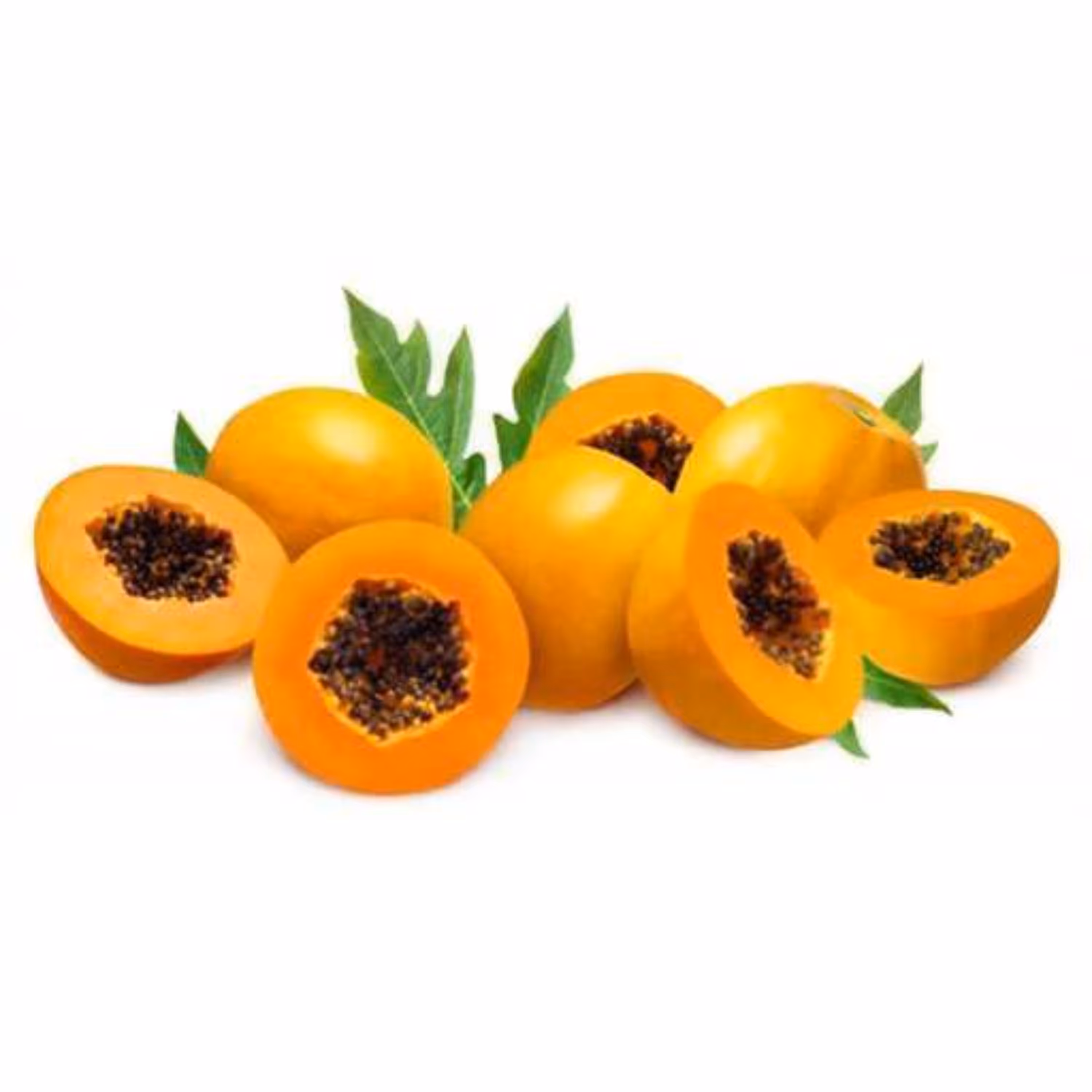 بذر پاپایا گرد 5عددی