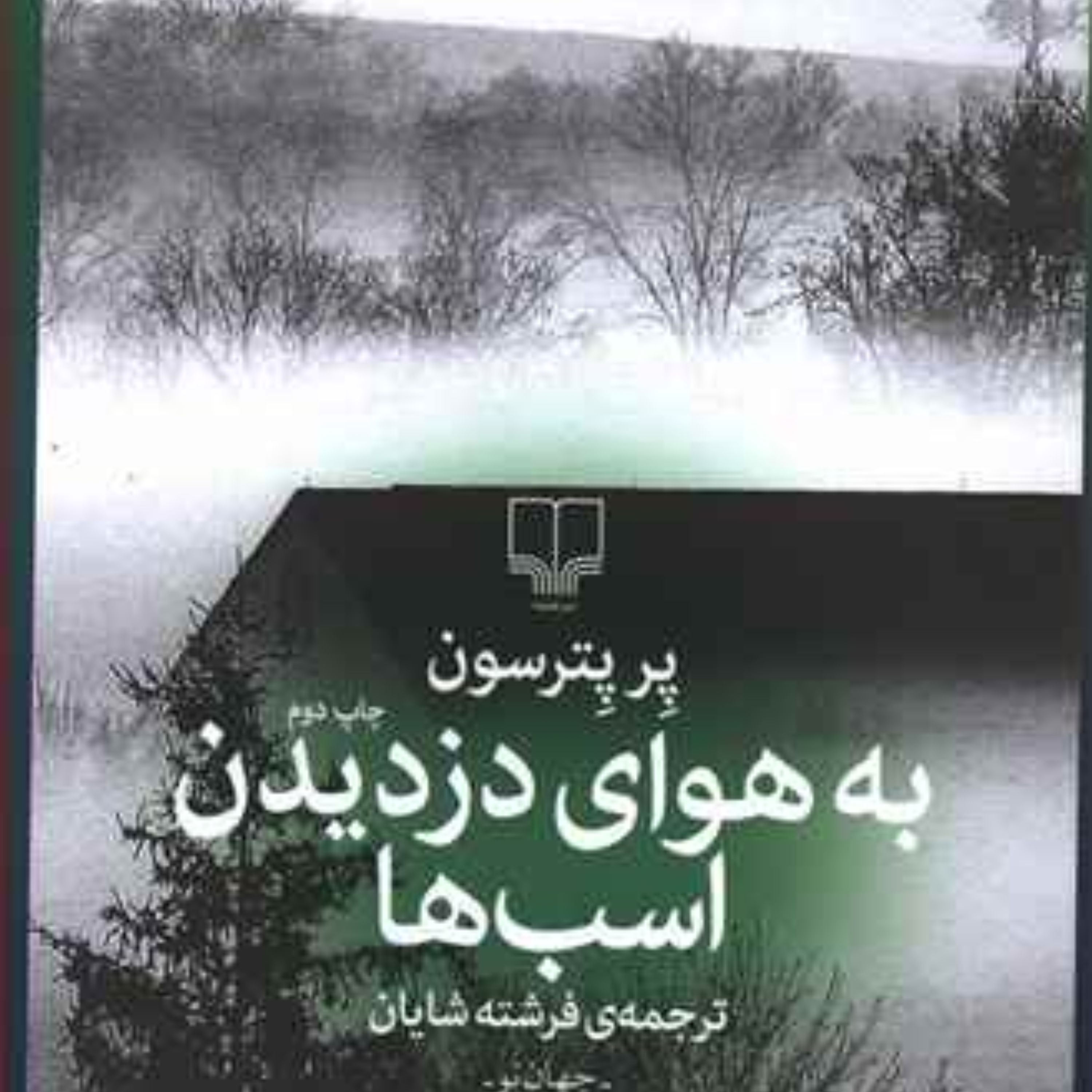 به هوای دزدیدن اسب ها