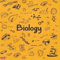 دفتر کلاسوری زیست دات نوت (Dat Note) دات نوت BIOLOGY 18.5*25.5CM