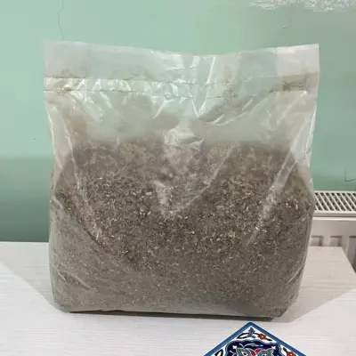 چای یربا ماته الابورادا وارداتی بسته بندی فله - 3 کیلویی