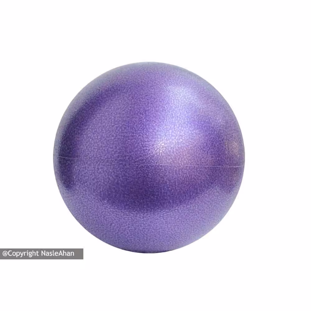 توپ پیلاتس قطر 25 سانتی متر - فروشگاه نسل آهن