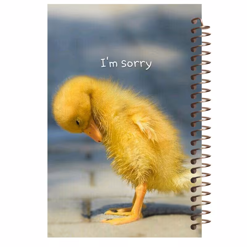 دفتر یادداشت آف تاب شهر طرح اردک کد 4210