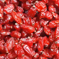 زرشک پفکی امسالی مشرق زمین اعلا نیم کیلویی مستقیم از کشاورز