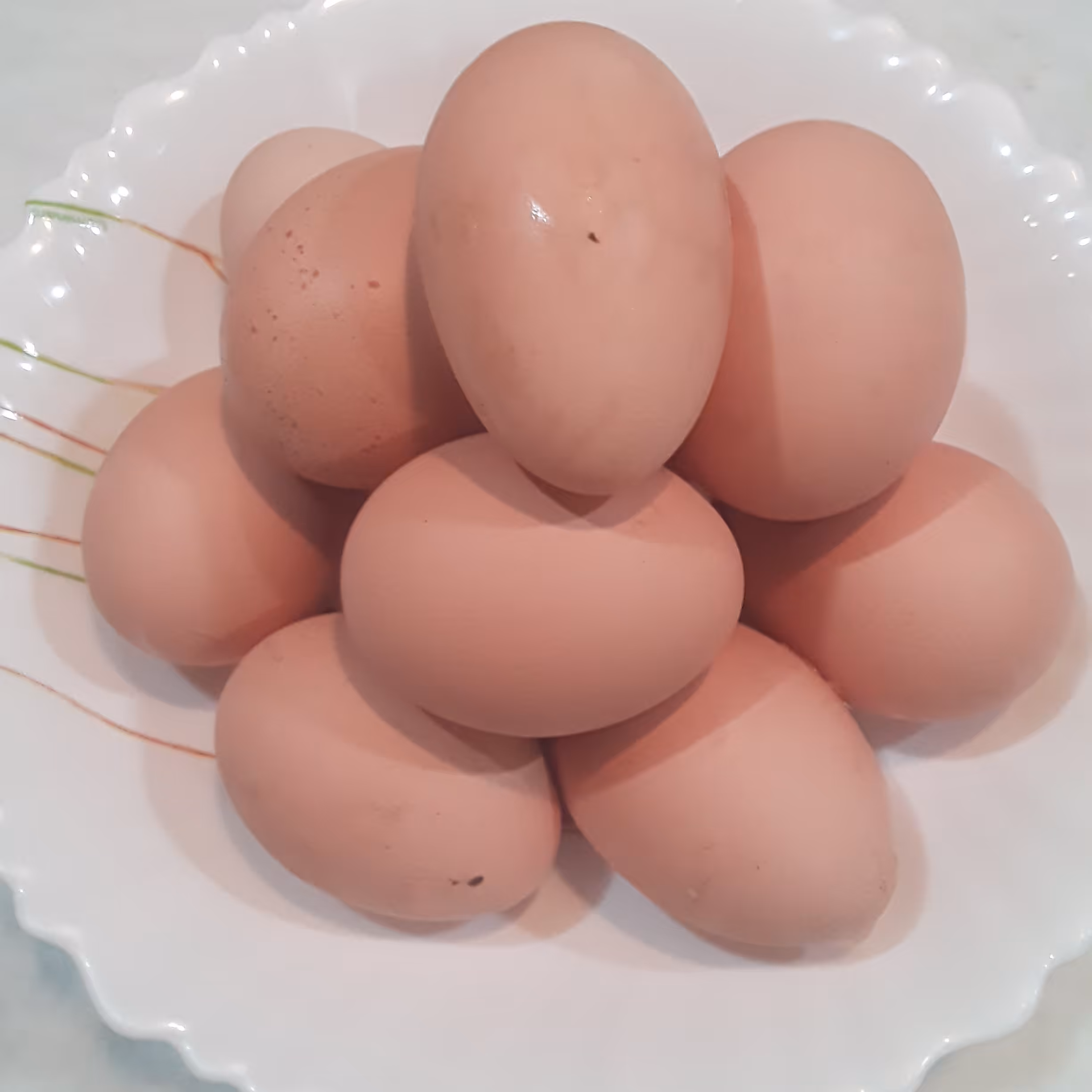 تخم مرغ محلی