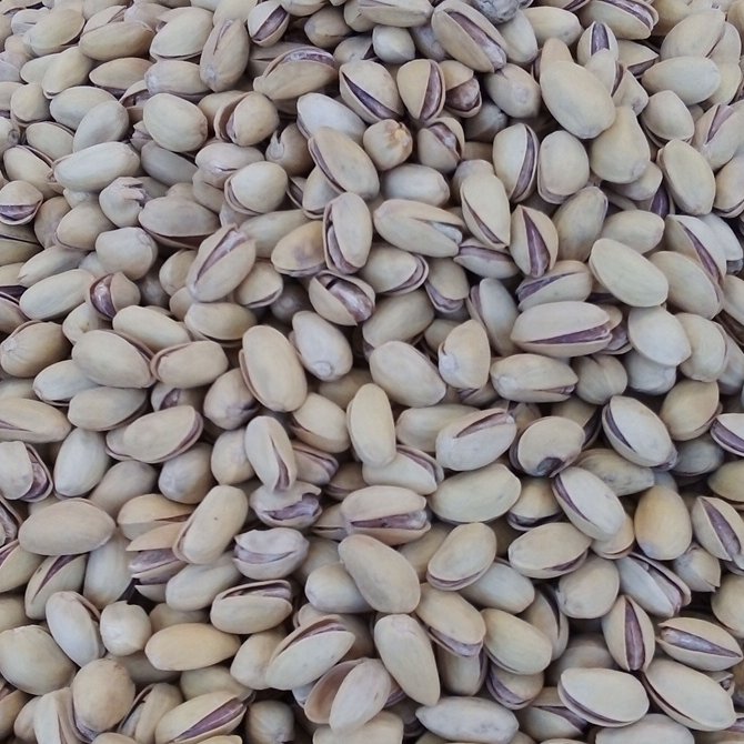 پسته احمد آقایی سنتی (نمکی)(500گرمی)