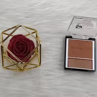 رژگونه شماره 106 هایلایتری پلادیس 