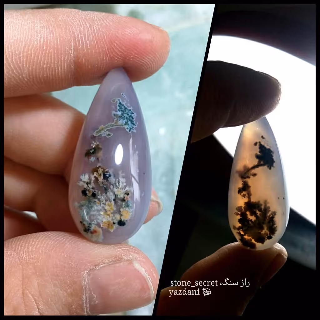 نگین بسیار زیبای عقیق شجر بهاری چند رنگ